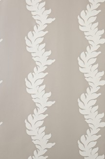 Acanthus BP2702