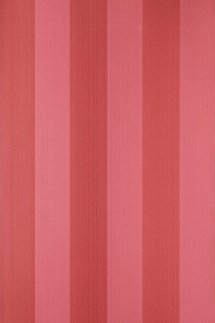 Plain Stripe ST 1136