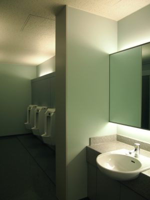 toilet-FS2