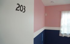 ヤマダタッケン様_ FARROW&BALL_N0.278 Nancys Blushes_No.253 Drawing Room Blue