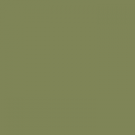 FARROW&BALL No.W56 Sap Green