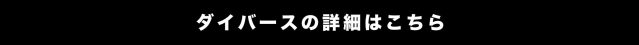 プロが直接レクチャーするダイバースの詳細はこちら