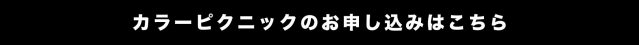 カラーピクニックのお申し込みはこちらからどうぞ！