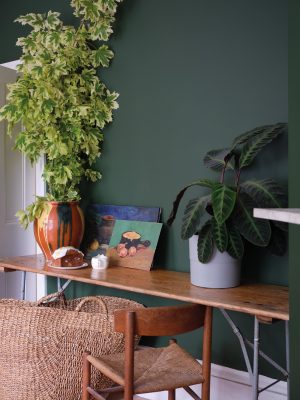 自然の緑から受ける癒しを家の中でも。FARROW&BALL No.W55 Duck Green