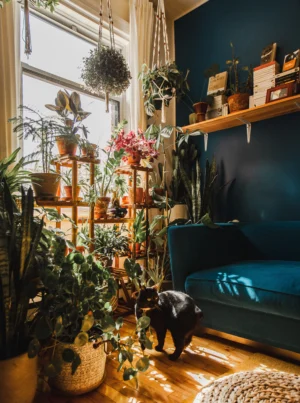 深みのあるネイビーの壁とたくさんの植物に囲まれた空間に黒猫が写っている写真。家族の一員であるペットでも安心して過ごせる安心の塗料をお選びください。